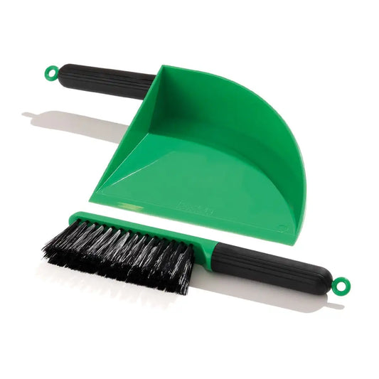 Dustpan and brush